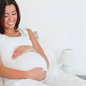 Колко полезна е репичката по време на бременност?