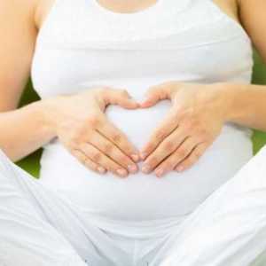 Полезна гимнастика за бременни жени (1 мандат). Какви гимнастики можете да забременеете?