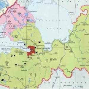 Минерали от района на Ленинград: активно експлоатирани и обещаващи