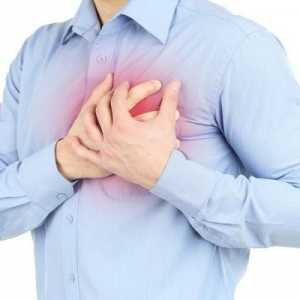 Полезни билки за сърцето и кръвоносните съдове: списък, рецепти и приложения