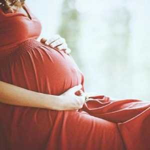 Polyp по време на бременност: причини, симптоми, лечение, последици