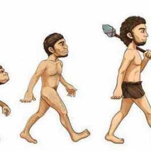 Понятието "еволюция" във философията