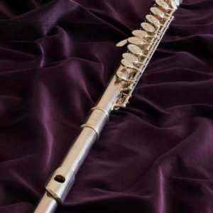 Пресечна флейта и нейните характеристики