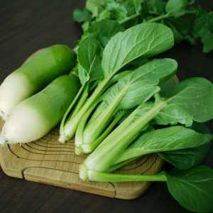 Популярна зеленчукова култура идва от Япония - daikon. Култивиране и грижи