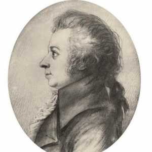 Портрет на Моцарт - генийът на чистата красота
