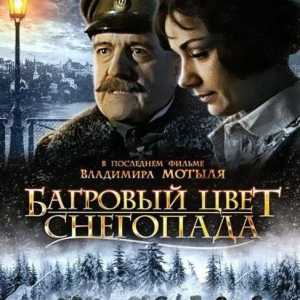 Последният филм на Владимир Мотил "Пурпурен цвят на снеговалеж": актьори и роли