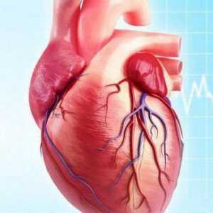 Постмиокардиална кардиосклероза: причини, симптоми и лечение