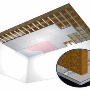 Гипсокартон тавани в спалнята: дизайн елементи