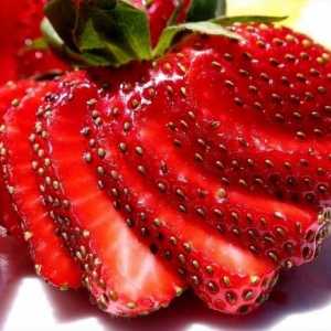 Зашеметяваща ягода `chamor turusi`