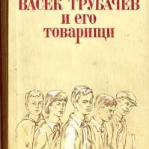 Историята на В. Осевева "Васек Трубачов и неговите другари": резюме, герои