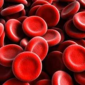 Повишени червени кръвни клетки в кръвта или урината: основните причини