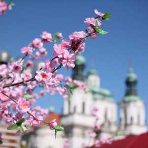 Прага през май: времето и отзиви на туристите. Какво да видим в Прага през май?