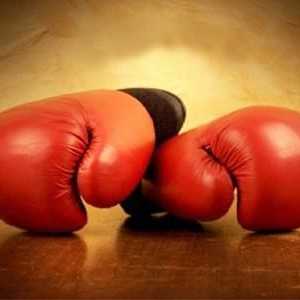 Правила за бокс: професионален и любителски