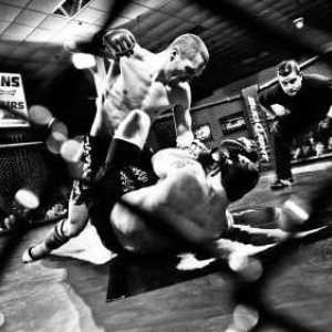 Правила MMA: битки без правила или смесени бойни изкуства