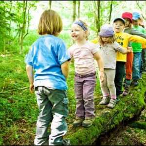 Правила за поведение в гората за деца