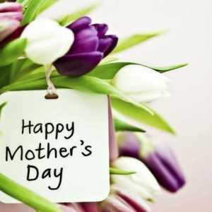 Празник на Деня на майката: скрипт