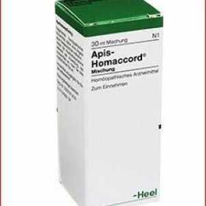 Наркотикът "Апис", хомеопатията: инструкции, указания