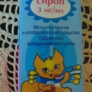 Наркотикът "Bronhorus" (сироп): инструкция за употреба за деца, състав, описание и…