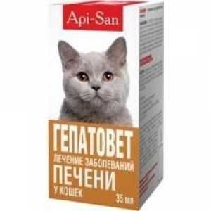 Лекарството "Hepatovet" за котки: инструкции и дозировки