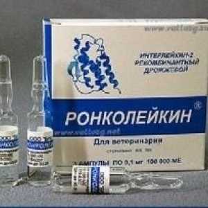 Наркотикът "Ronkoleikin" за котки: описание, приложение, рецензии
