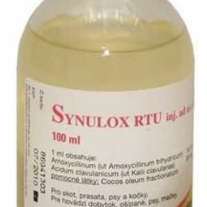 Наркотикът "Sinulox". Инструкции за употреба