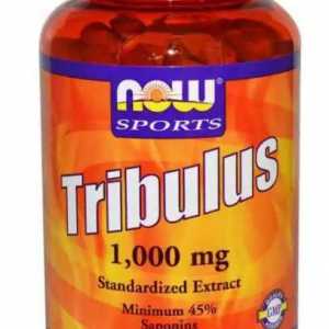 Наркотикът "Tribulus": как да го направите, състава, характеристиките и рецензиите