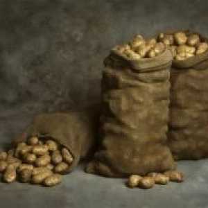 При каква температура се съхранява картофите? Поддържане на картофи у дома