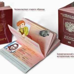 Пример за попълване на заявление за нов паспорт. Правилно попълване на заявление за нов паспорт