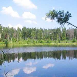 Естеството на Беларус е уникално наследство на реликтната екосистема