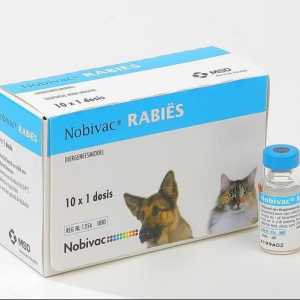 Ваксинация "Nobivak Rabies". инструкция