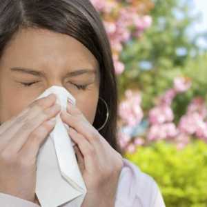 Признаци на алергия при възрастни. Пролетна алергия