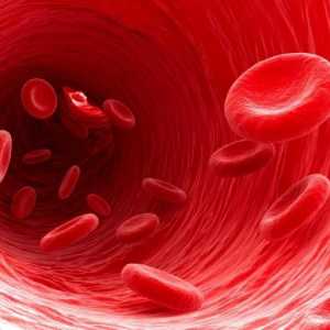 Признаци и причини за нисък хемоглобин при жените