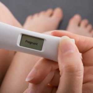 Признаци и симптоми на бременност в първия ден след зачеването: прегледи