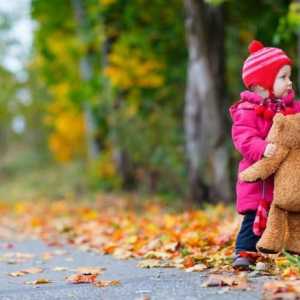 Признаци на есента: урок за децата