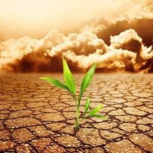 Проблеми на настоящето: замърсяване и изчерпване на почвата