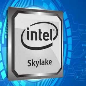 Процесор устройство Intel Core i3 - 6006U. Характеристики, преглед на спецификациите и преглед на…
