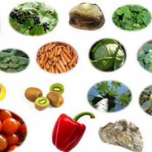 Продукти, съдържащи витамин В в големи количества. Какви храни съдържат витамини от вида B?