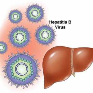 Предотвратяване и защита от хепатит В. Ваксина срещу хепатит В