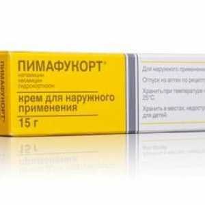 Противовъзпалителен и противогъбичен мехлем "Pimafukort": инструкции за употреба