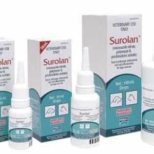 Противовъзпалителни капки за животни "Srolan": инструкции за употреба