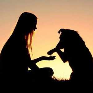 Психология на кучетата. Основи на обучението по животните