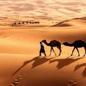 Сахара пустиня: снимки, интересни факти, географско местоположение