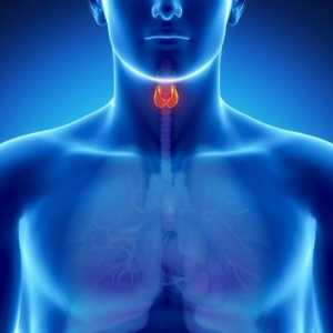 Рак на щитовидната жлеза: колко живеят? Консултация с онколог