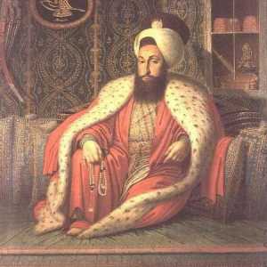 Дезинтеграция на Османската империя: история, причини, последици и интересни факти