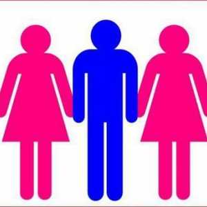 Позволява ли се полигамията в Русия? Писмото от закона и реалния живот