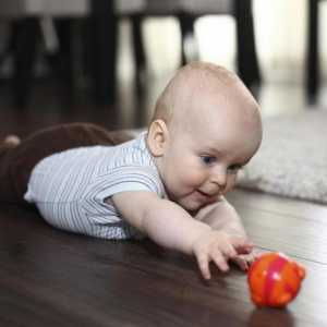 Развитие на дете на 5 месеца: какво трябва да може да направи?