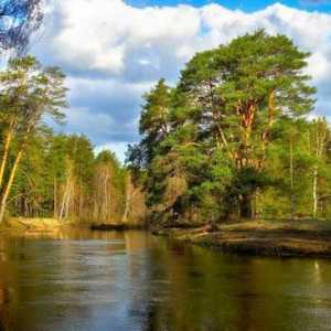 Река Nerskaya в предградията: описание, описание, снимка