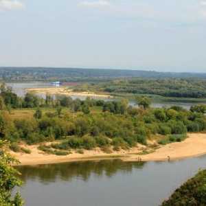 Река Ока. Растения и животни от басейна на Волга