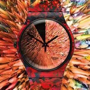 Чудесен часовник "Swatch": колекции и елементи