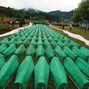 Масовото убийство в Сребреница през 1995 г .: причини